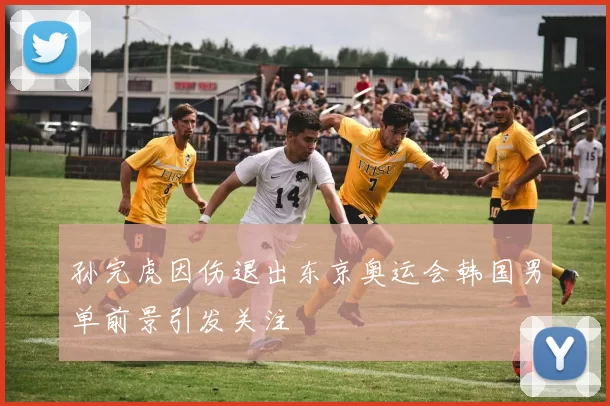 孙完虎因伤退出东京奥运会韩国男单前景引发关注